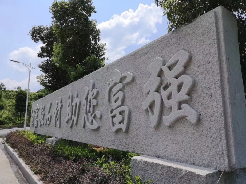 湖北麻城市委常委、統(tǒng)戰(zhàn)部部長戴昌遠一行考察交流富強石材綠色礦山經(jīng)驗