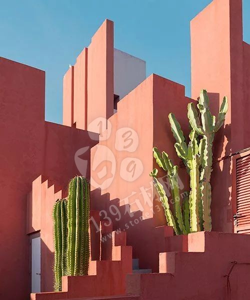 2019年流行的&ldquo;珊瑚橘&rdquo;主打色調(diào)