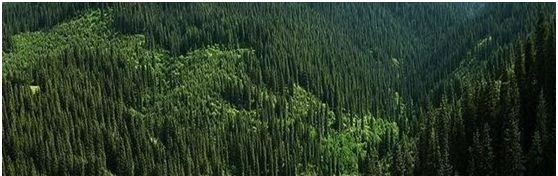 帶你領略大美新疆，附新疆產天然石材品種圖！