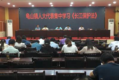 聚焦優化營商環境，助推石材產業發展——麻城龜山鎮人大代表在行動